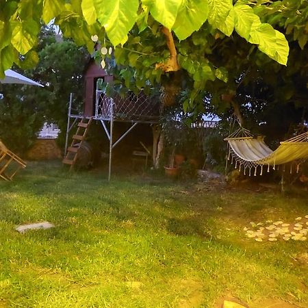 Diamant'S Place With Treehouse Garden Kounoupidhianá エクステリア 写真