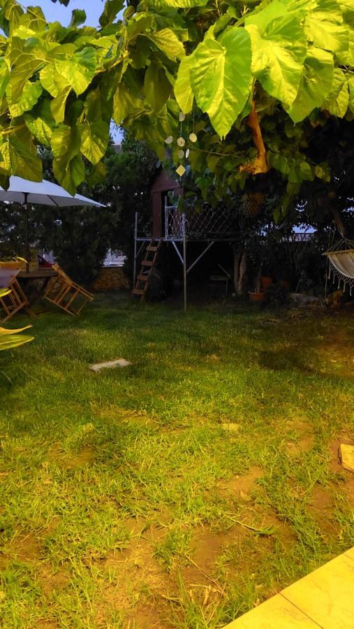 Diamant'S Place With Treehouse Garden Kounoupidhianá エクステリア 写真