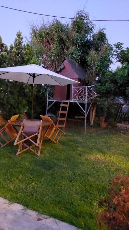 Diamant'S Place With Treehouse Garden Kounoupidhianá エクステリア 写真